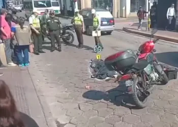 micro_atropello.jpg