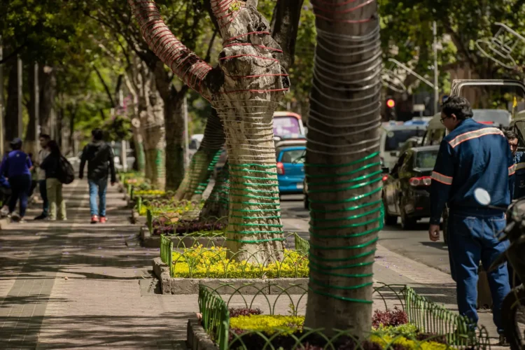 Personal de Alumbrado Público comenzó con la instalación de luces y adornos navideños en el centro de la urbe cocbabambina. FOTO: GAMC