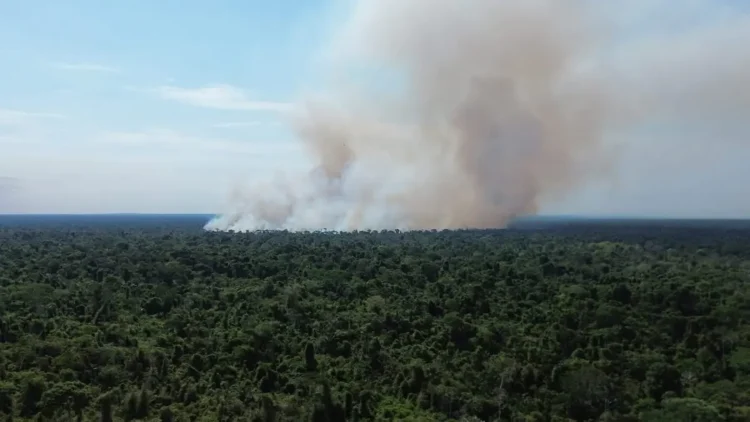 El fuego avanza rápidamente/RRSS