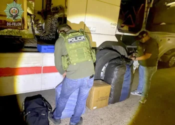 Los policías revisan los yutes hallados dentro del camión/FELCN