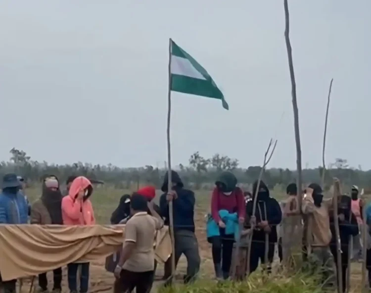 El grupo de avasalladores de un predio en Montero/Captura de video
