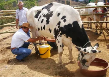 producción