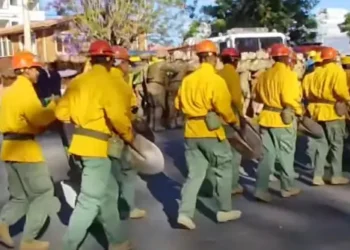 Efectivos militares realizaron tareas preventivas. Foto: Captura Ministerio de Defensa.
