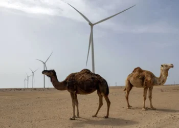 Sahara-Occidental.jpg