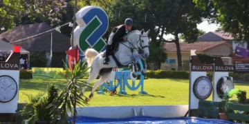 El jinete Santiago Rocha en plena competencia (Crédito: Fernando Catalán).