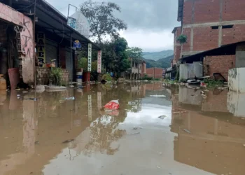 Una inundación afectó al municipio paceño de Tipuani. Foto: APG.
