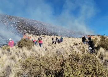 El incendio forestal afecta a plantas nativas. Foto. Potosí Digital.