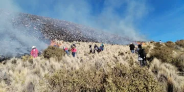 El incendio forestal afecta a plantas nativas. Foto. Potosí Digital.