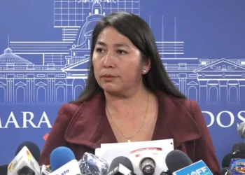 La diputada Rosario García (MAS). (Foto: Asamblea).