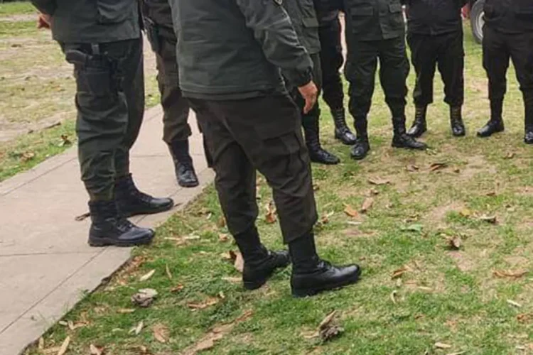ataracadores.jpg