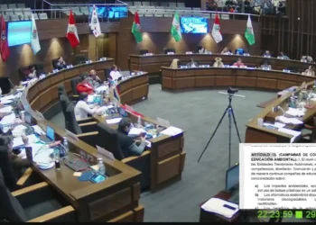 El Senado aprobó el proyecto de ley para reducir el uso de bolsas plásticas. FOTO: UPAB