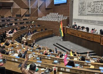 Diputados