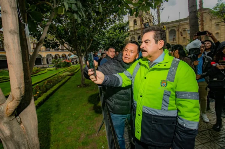 El alcalde de Cochabamba, Manfred Reyes Villa, escanea el código QR instalado en un árbol. FOTO: GAMC