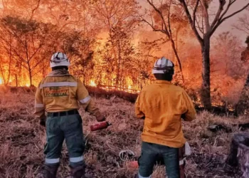 incendios