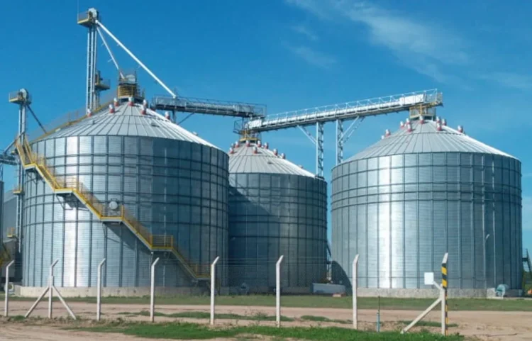 exportaciones