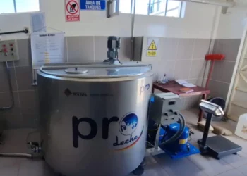 Producción de leche en el país. Foto: Pro Bolivia.