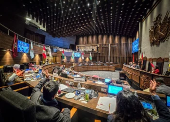 La sesión del Senado en la que se sancionó el proyecto de crédito. Foto: Cámara de Senadores.