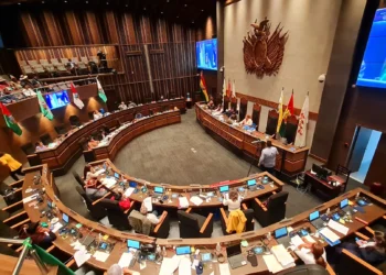 La sesión del Senado en la que se sancionaron los créditos. Foto: Cámara de Senadores.
