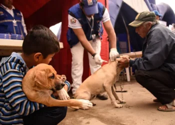 Cochabamba activa plan de vacunación en una zona ante confirmación del segundo caso de rabia canina. FOTO: Ministerio de Salud