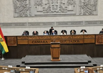 Conformación de la Directiva Ad Hoc en al Cámara de Diputados. (Foto: Cámara de Diputados)