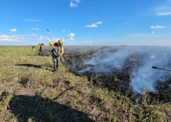 Se realizan las labores de enfriamiento/Gob. de Santa Cruz