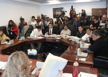 Sesión de la Comisión de Constitución de la Cámara de Senadores. 
(Fotos: Diputados)