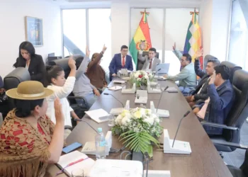 La Comisión de Justicia Plural de la Cámara de Diputados. (Foto: Diputados)