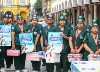 La campaña de vacunación antirrábica se realizará el sábado y domingo. FOTO: GAMC