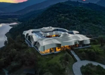 Viña VIK.