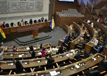 Los legisladores del PDC buscarán iniciativas desde la Asamblea.
Foto: Cámara de DIputados.