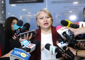 La diputada del Partido Demócrata Cristiano (PDC) Patricia Patiño.