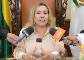La decana del Tribunal Supremo de Justicia (TSJ), Rosmery Ruiz. (Foto: AJN)