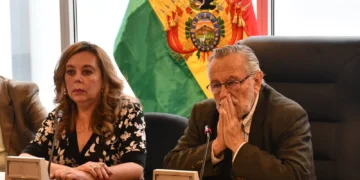 Juan del Granado preside la Comisión de Constitución de la Cámara de Diputados: Foto: APG