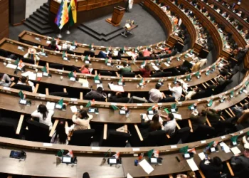 Seisión de la Cámara de Diputados.
Foto: APG