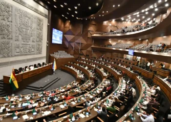 Sesión plenaria de la Cámara de Diputados este jueves.
Foto: APG