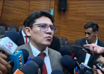 Edson Dávalos, magistrado del TCP.
Foto: Captura RRSS