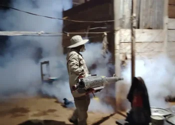 Las fumigaciones son parte de las acciones contra los vectores transmisores. Foto: Ministerio de Salud.