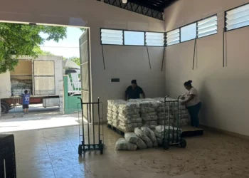 Los paquetes de nutrientes que serán distribuidos. Foto: Ministerio de Salud.