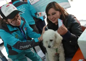 Las mascotas deben ser vacunadas contra la rabia una vez al año. Foto: AMUN.