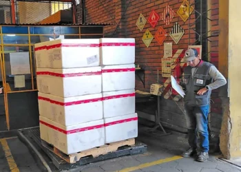 El primer lote de vacunas contra la rabia que llegó al país. Foto: Ministerio de Salud.