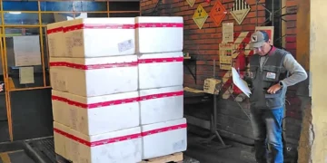 El primer lote de vacunas contra la rabia que llegó al país. Foto: Ministerio de Salud.