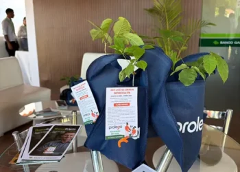 El Banco Ganadero reafirmó su compromiso con el desarrollo del sector agropecuario