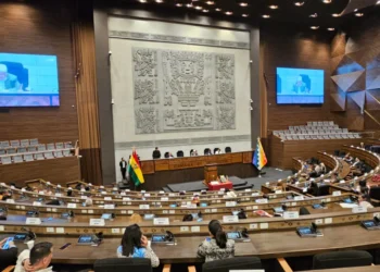 Sesión de la Cámara de Diputados. (Foto: Cámara de Diputados)