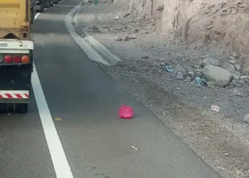 Los camiones bolivianos perjudicados por el bloqueo en Chile. Foto: Federación del Transporte Pesado.