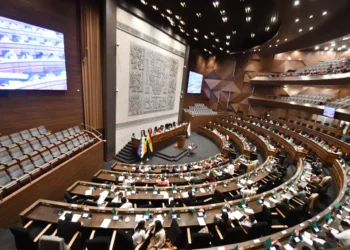 El pleno de la Cámara de Diputados. (Foto: APG)