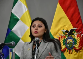La vocera presidencial Carla Faval. (Foto: APG)