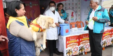 Más de un millar de brigadas de vacunación fueron desplegadas en La Paz. Foto: GAMLP.