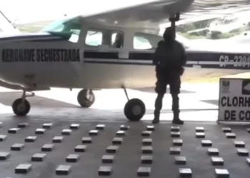 La avioneta y la droga incautada/Captura de pantalla
