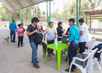 El municipio de Cochabamba alcanzó el 79% de cobertura de la campaña contra la rabia canina. FOTO: GAMC