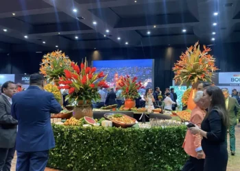 El evento se realiza en el salón Sirionó, de Fexpocruz. Foto: Asuntos Centrales.